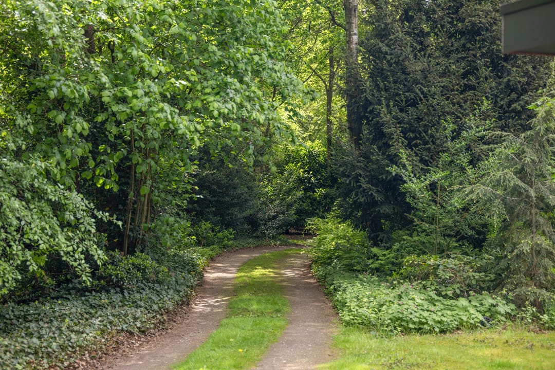 Foto 38 van Schoolbosdwarsweg 9