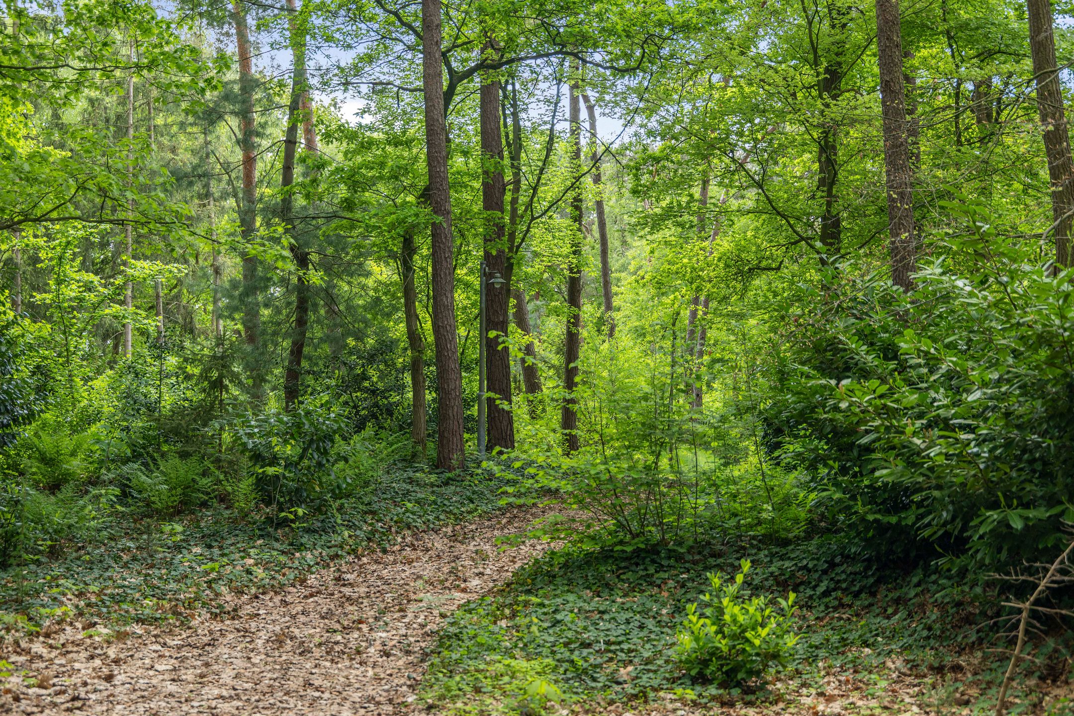 Foto 39 van Schoolbosdwarsweg 9