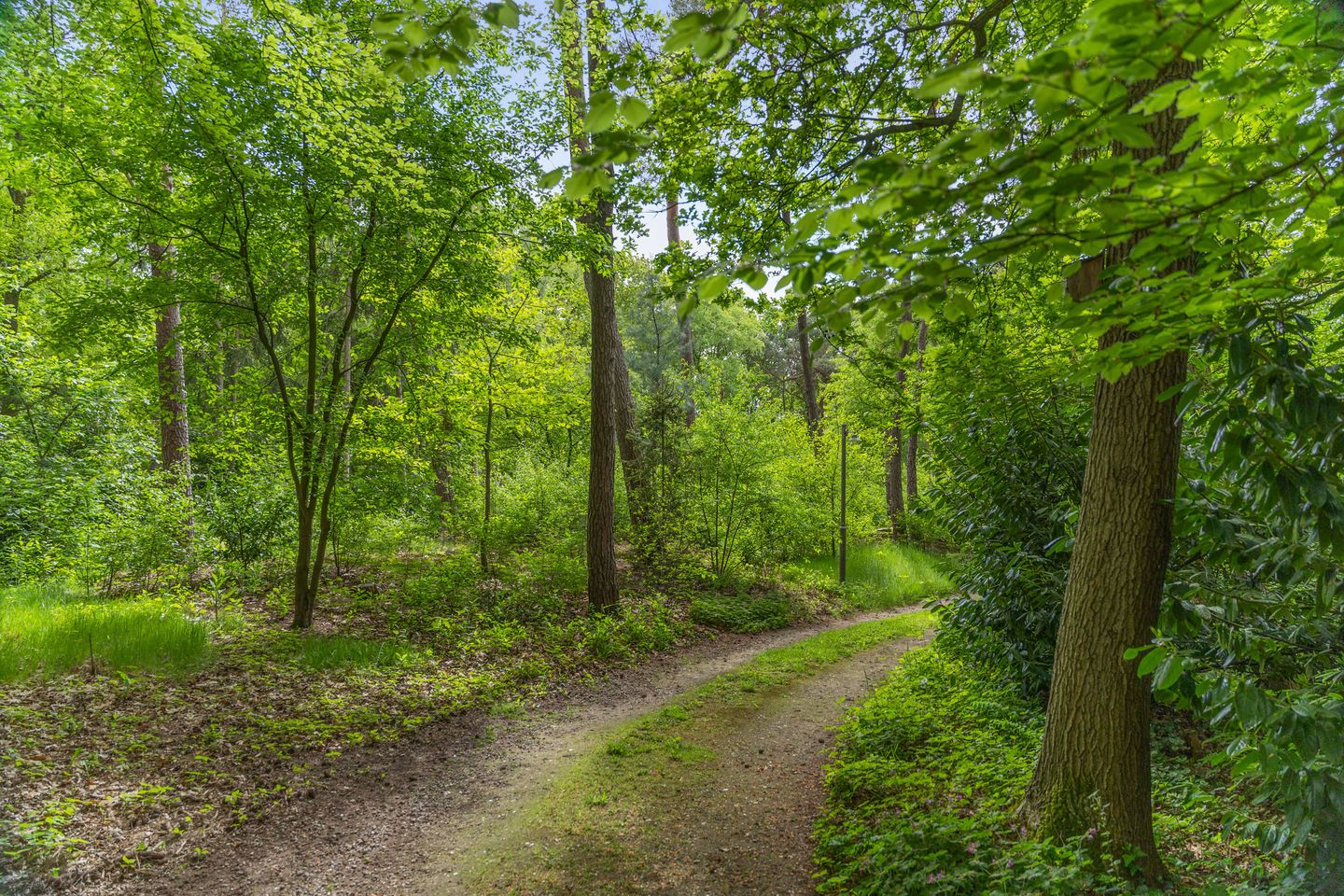 Foto 40 van Schoolbosdwarsweg 9