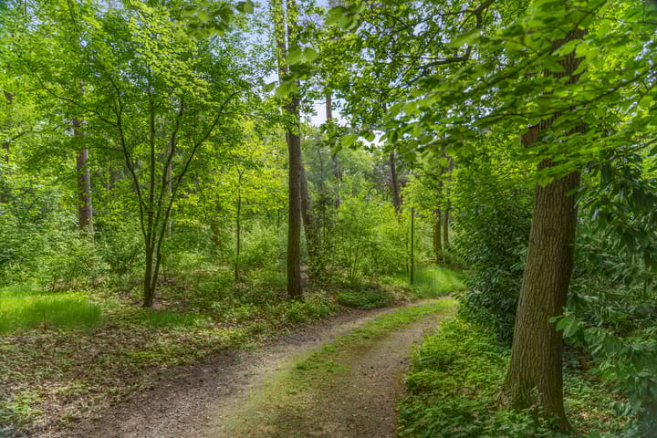 Foto 40 van Schoolbosdwarsweg 9