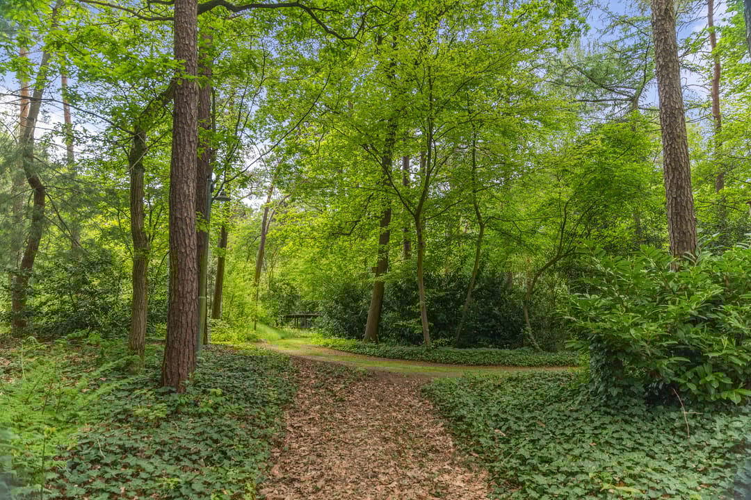 Foto 41 van Schoolbosdwarsweg 9