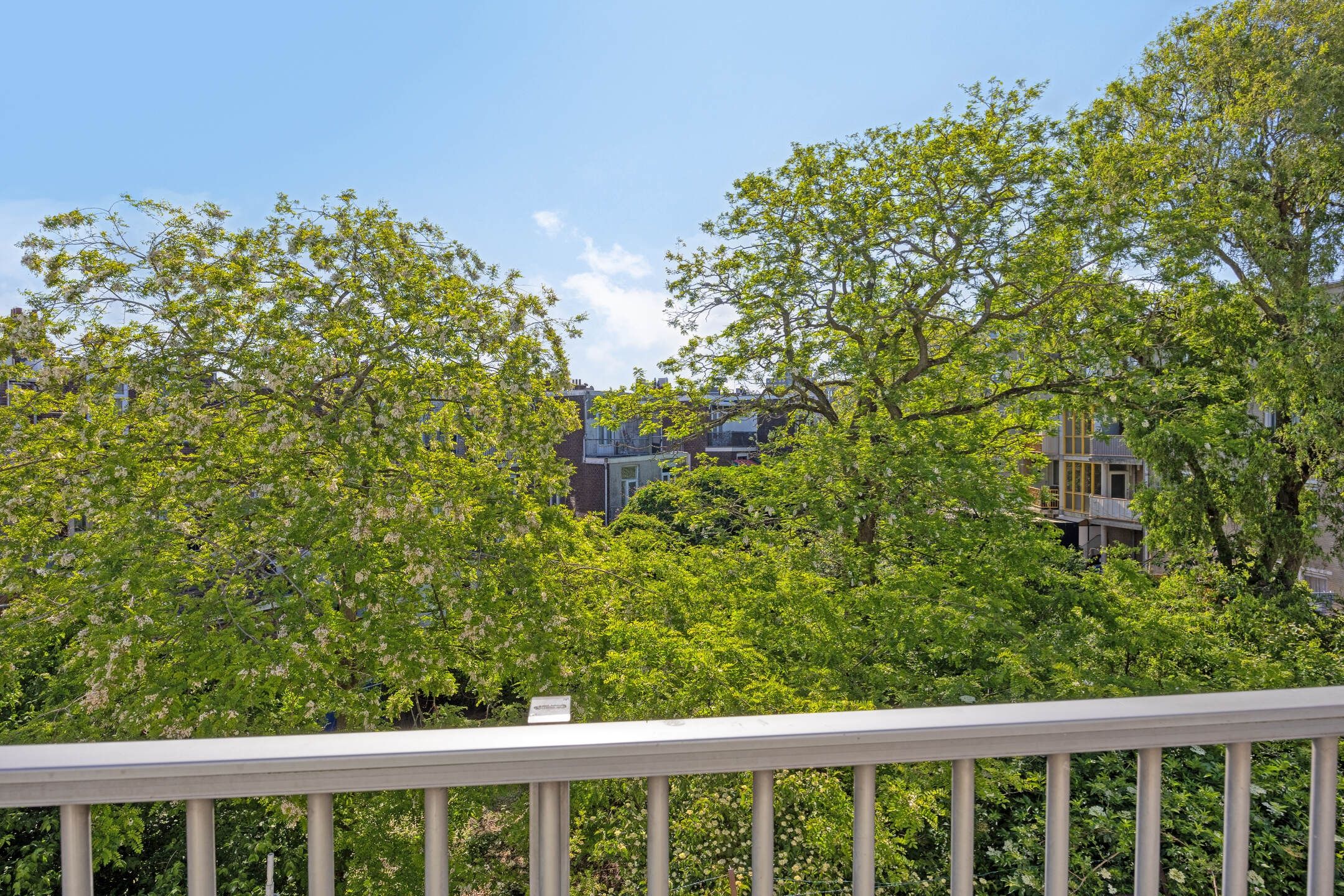 Foto 18 van Frans Halsstraat 58