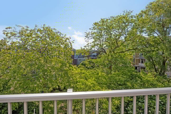 Foto 18 van Frans Halsstraat 58