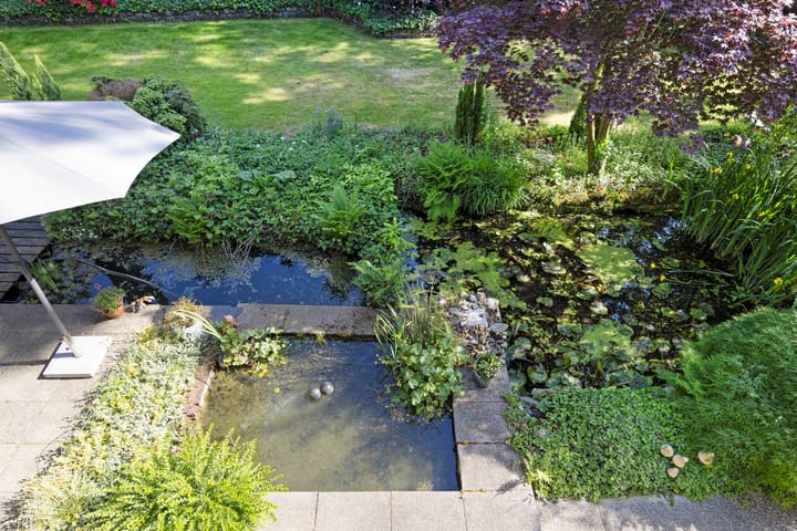 Photo 72 of Zweerslaan 9