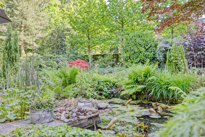 Photo 90 of Zweerslaan 9