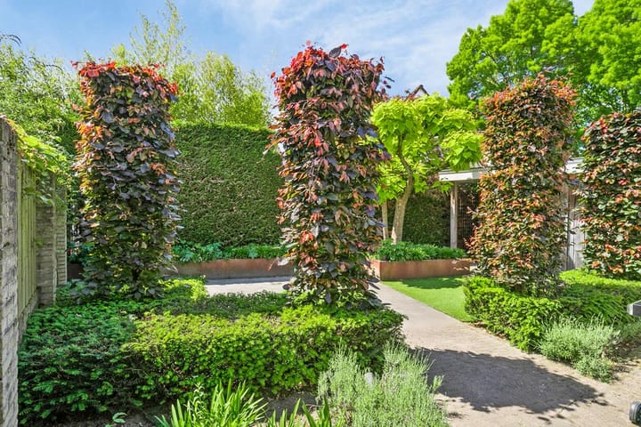 Foto 26 van Zomereik 13