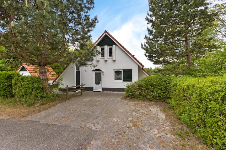 Foto 4 van De Rug 3-58