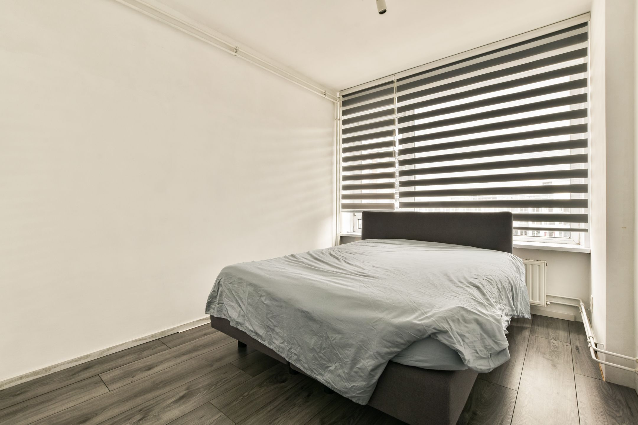 Foto 15 van Trumanlaan 505