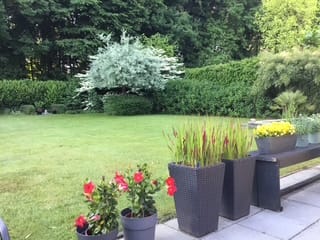 Foto 46 van Koekoeksbloem 4