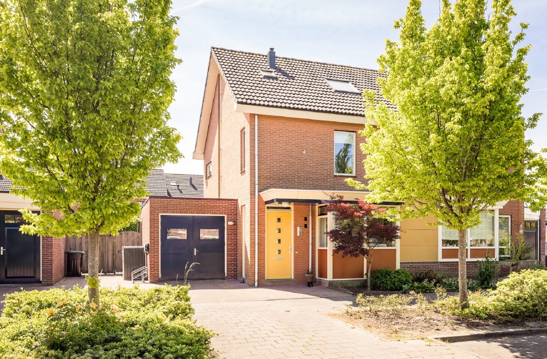 Foto 2 van Meerkoet 21