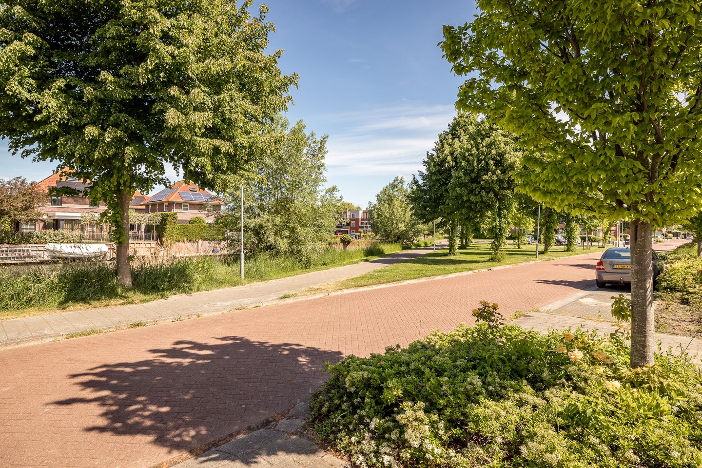 Foto 4 van Meerkoet 21