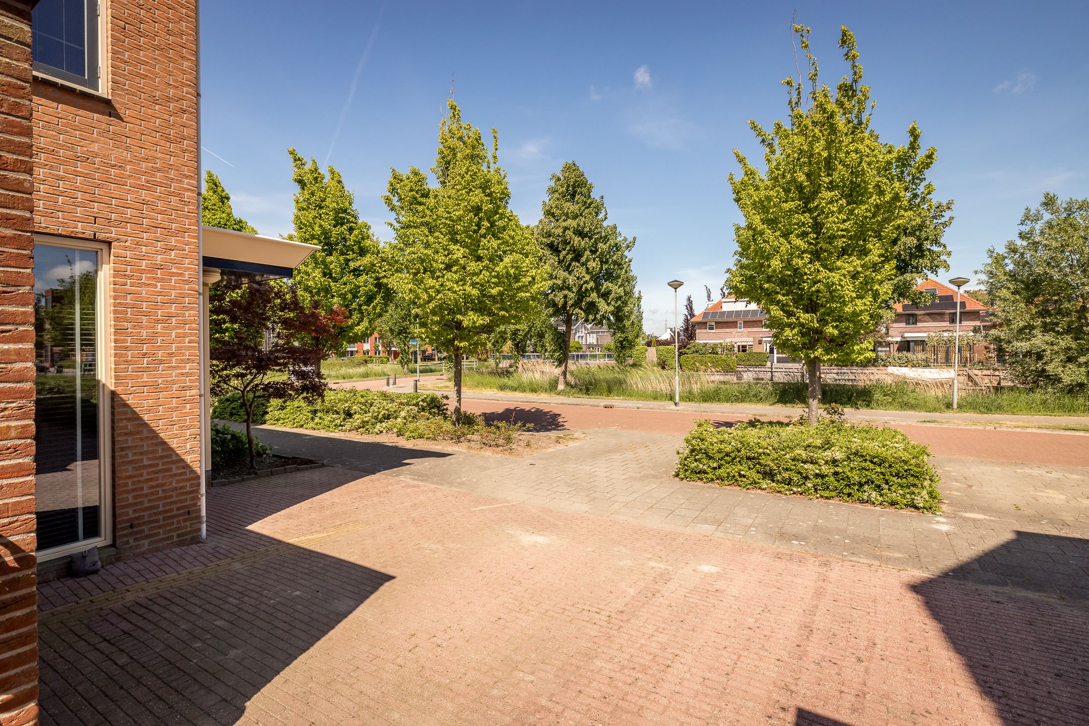 Foto 6 van Meerkoet 21