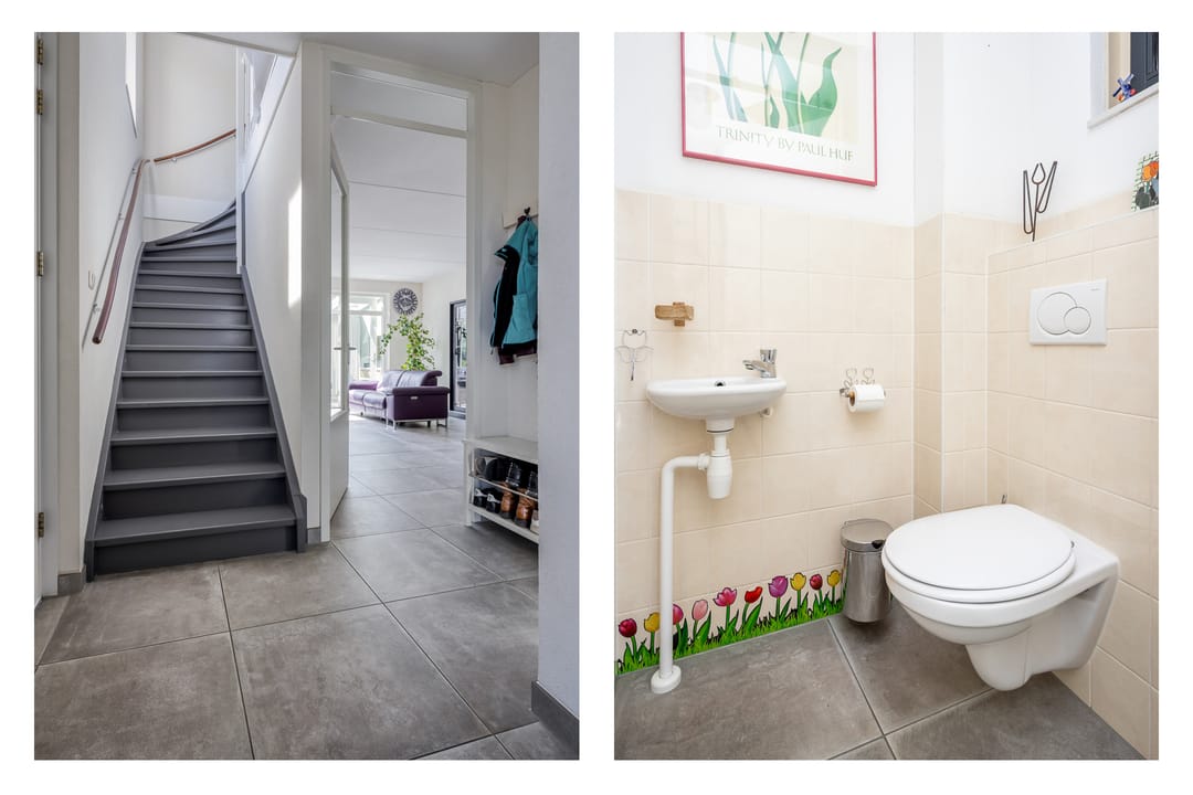 Foto 7 van Meerkoet 21