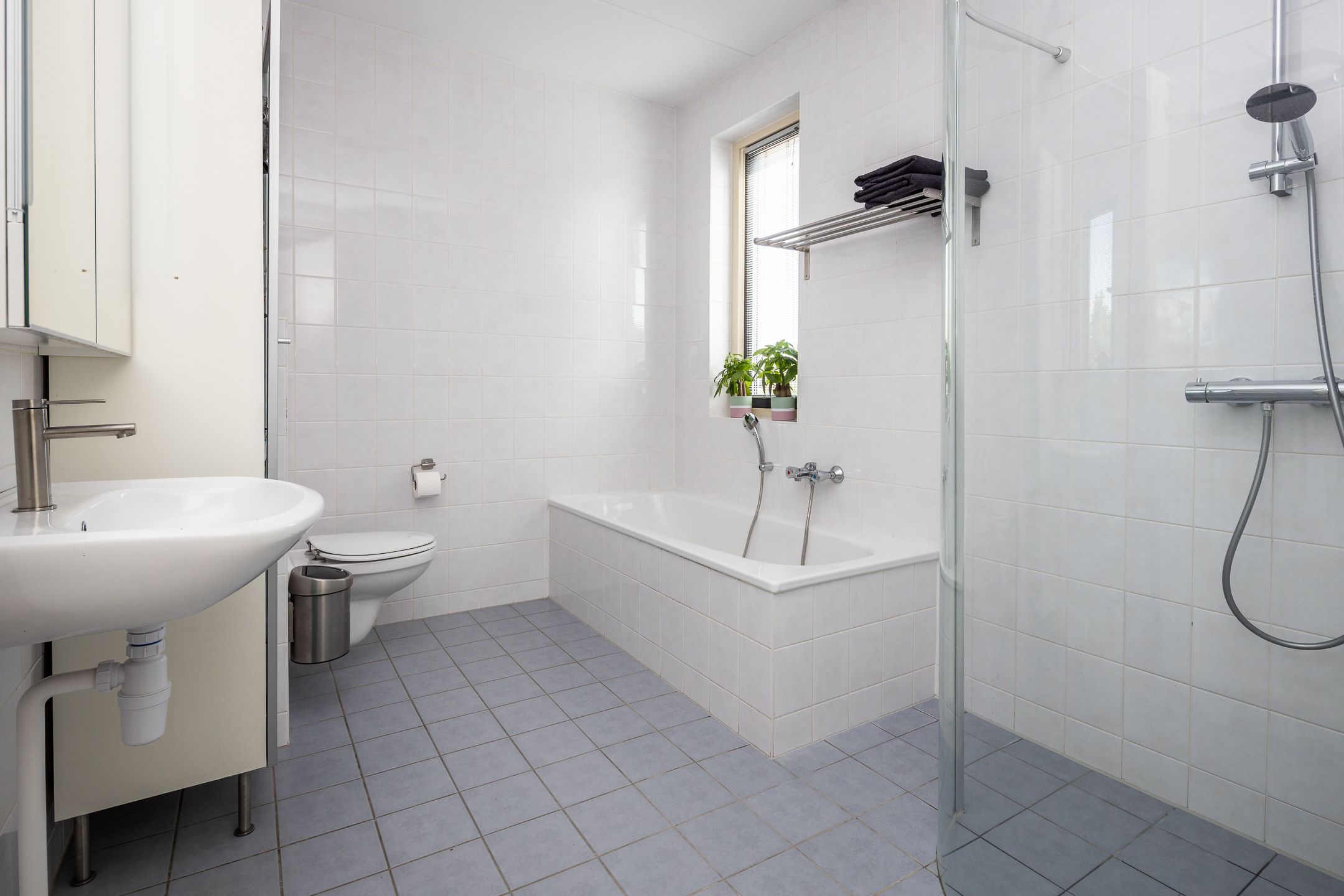 Foto 21 van Meerkoet 21