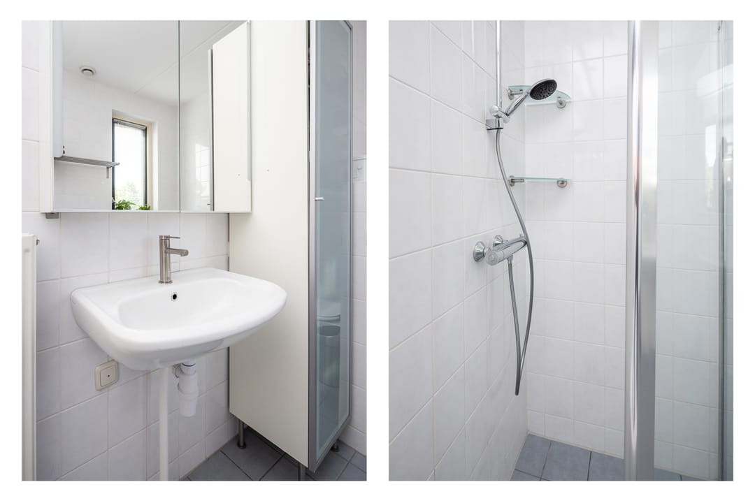 Foto 23 van Meerkoet 21