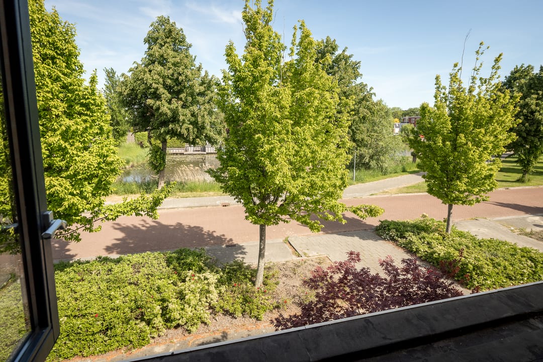 Foto 26 van Meerkoet 21