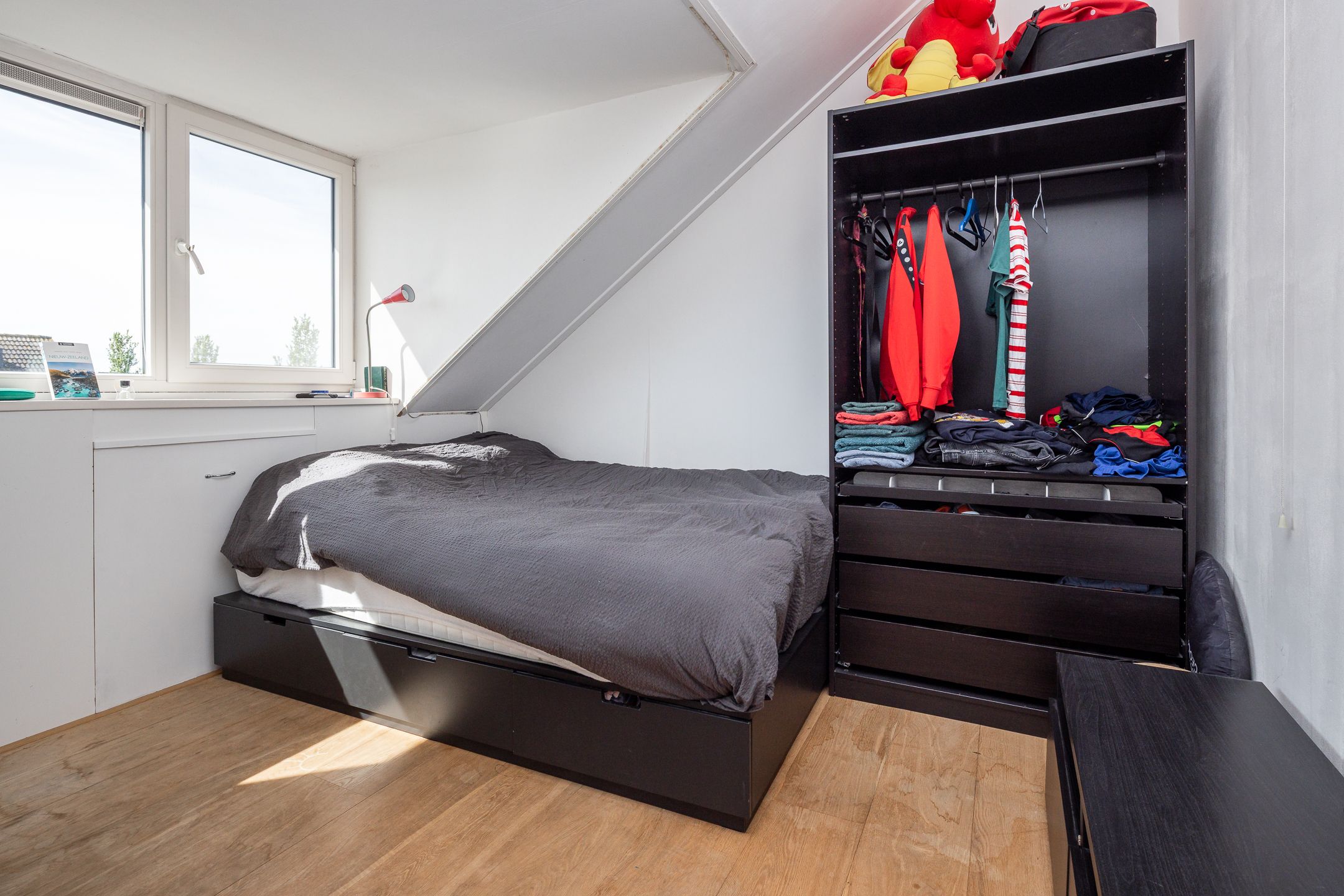 Foto 27 van Meerkoet 21