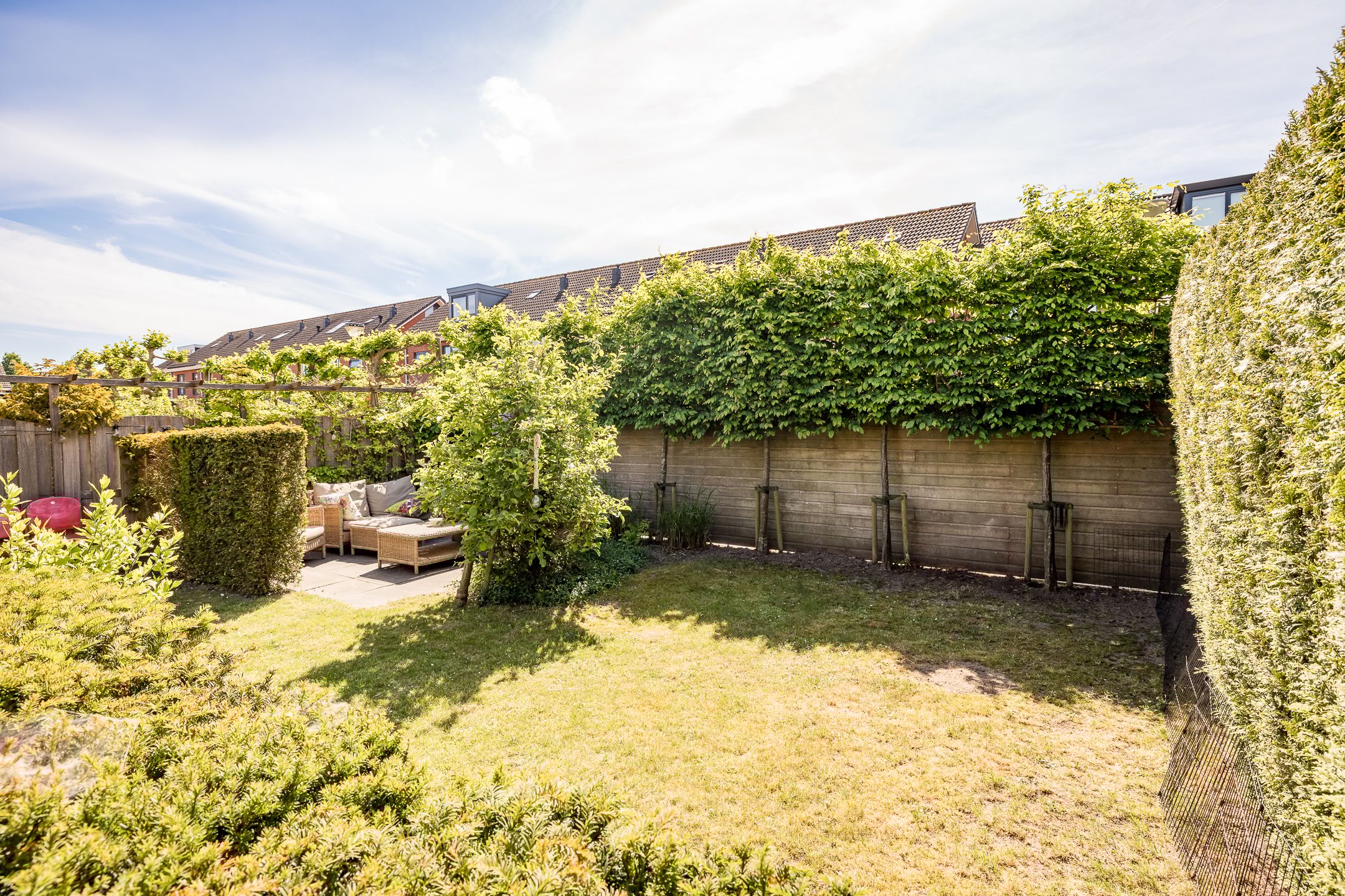 Foto 33 van Meerkoet 21