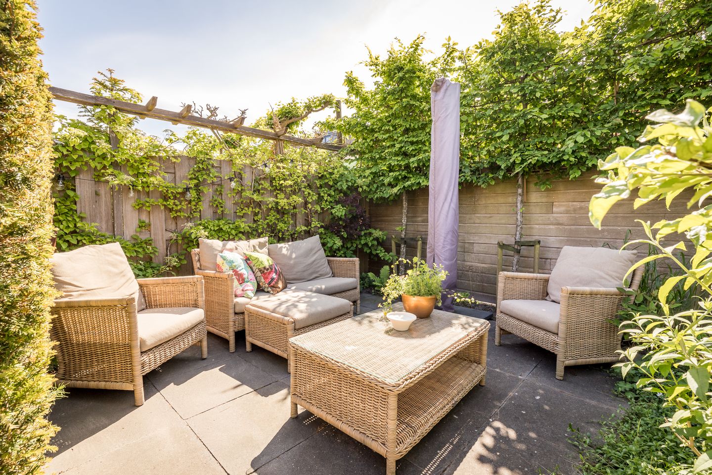 Foto 35 van Meerkoet 21