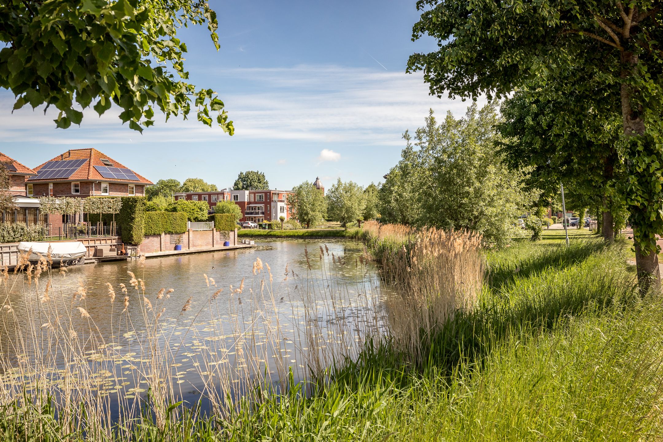 Foto 39 van Meerkoet 21