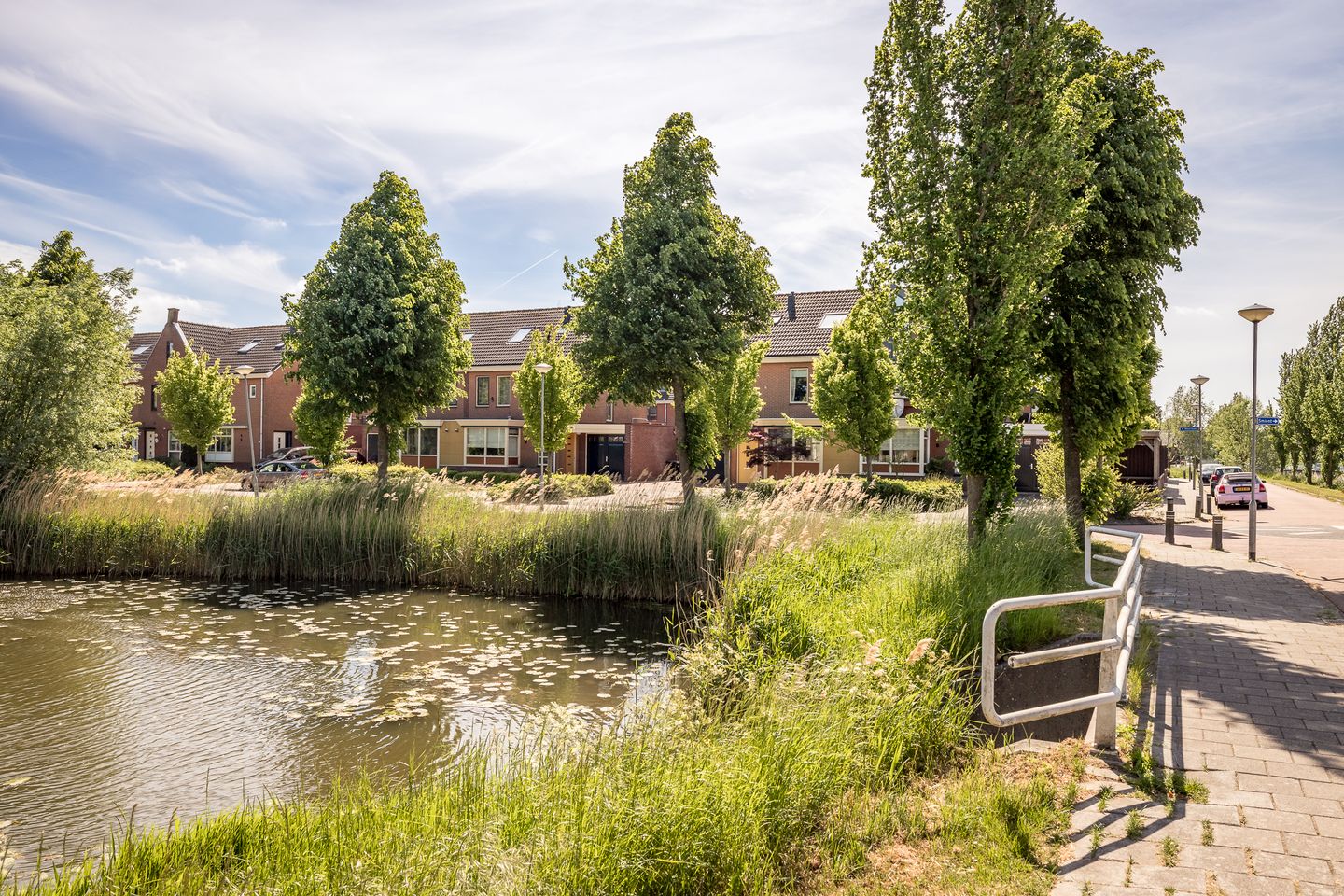 Foto 40 van Meerkoet 21