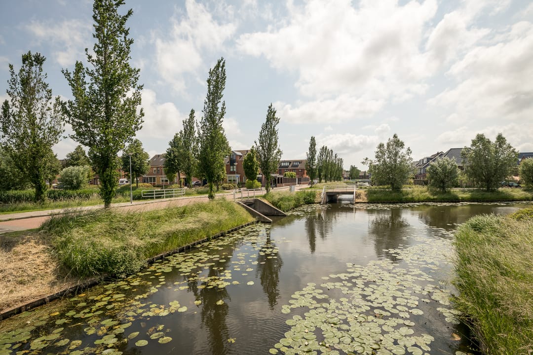 Foto 41 van Meerkoet 21