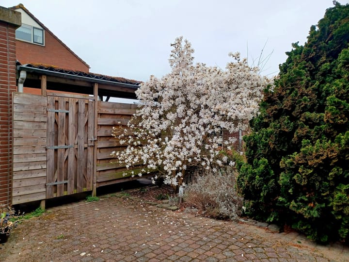 Foto 28 van Ceramstraat 5