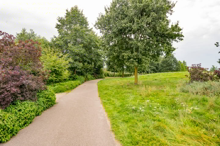 Foto 36 van Gaffel 20