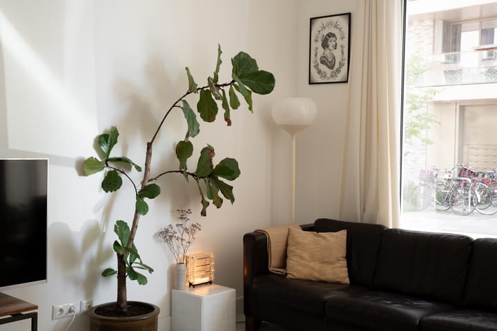 Foto 10 van Sprinklerstraat 3