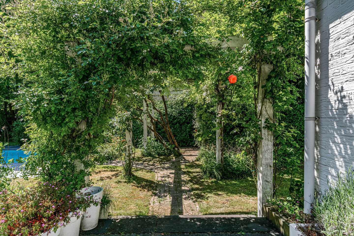 Foto 50 van Dorpsstraat 22