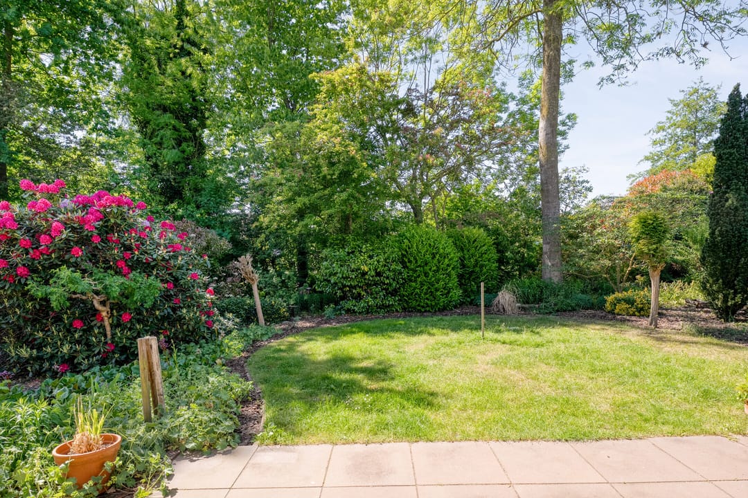 Photo 41 of Kon.Wilhelminalaan 3