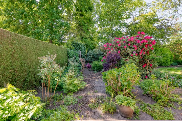 Foto 43 van Kon.Wilhelminalaan 3