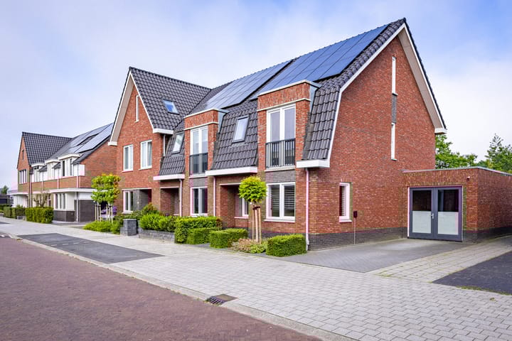 Photo 1 of Beemdgras 17