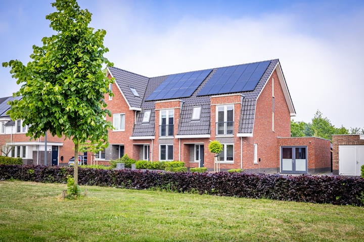 Foto 2 van Beemdgras 17