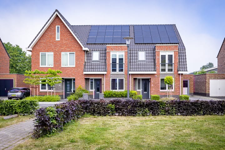 Foto 3 van Beemdgras 17