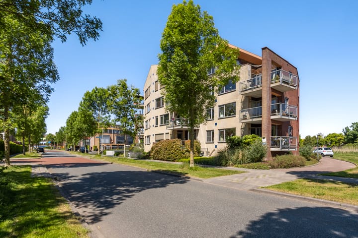 Foto 37 van Keizersmantel 345