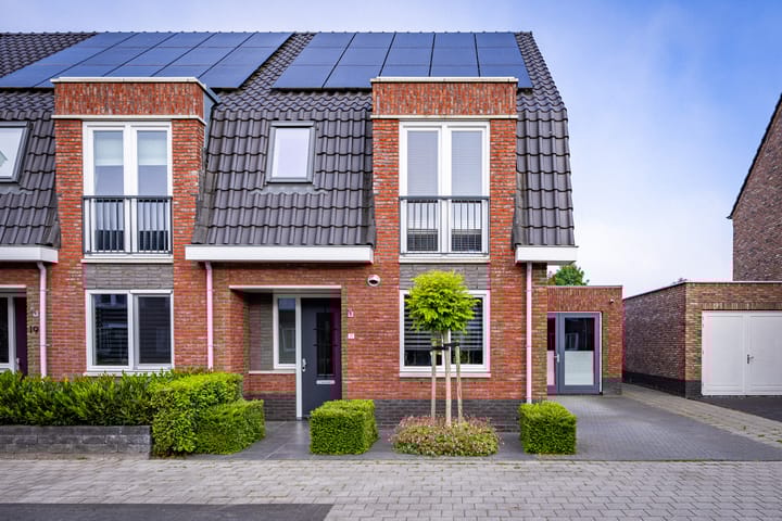 Photo 23 of Beemdgras 17