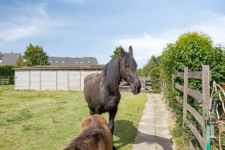 Foto 61 van Middeldijk 29