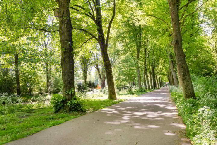 Foto 31 van Pomonastraat 58