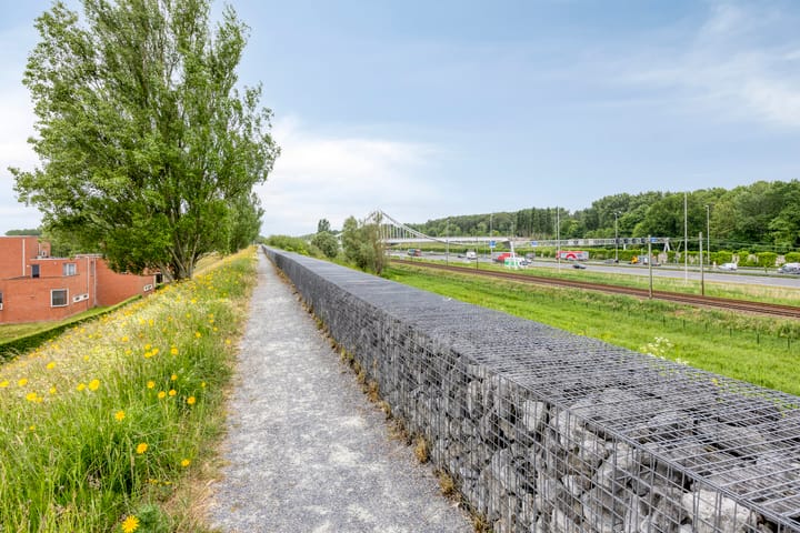 Foto 43 van Aburahout 26