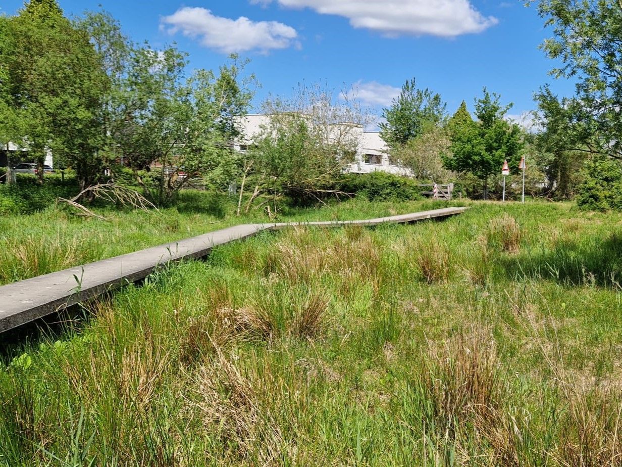 Photo 35 of Vriezenveenstraat 28