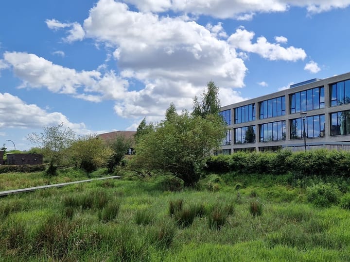 Foto 36 van Vriezenveenstraat 28