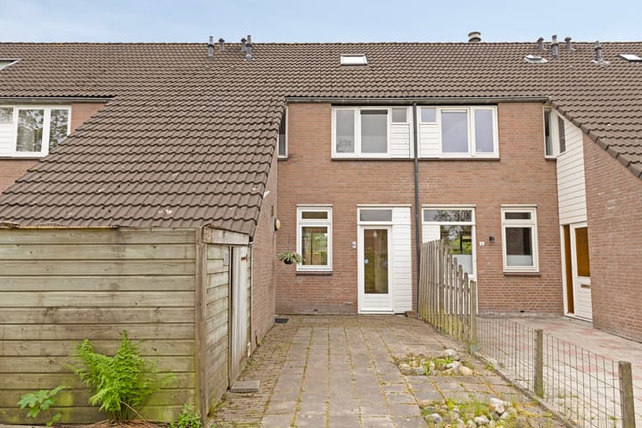 Foto 1 van Boekweitveld 6