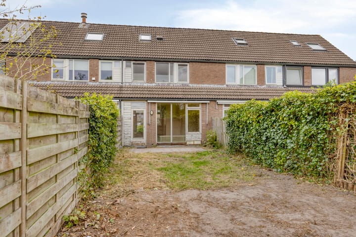 Foto 2 van Boekweitveld 6