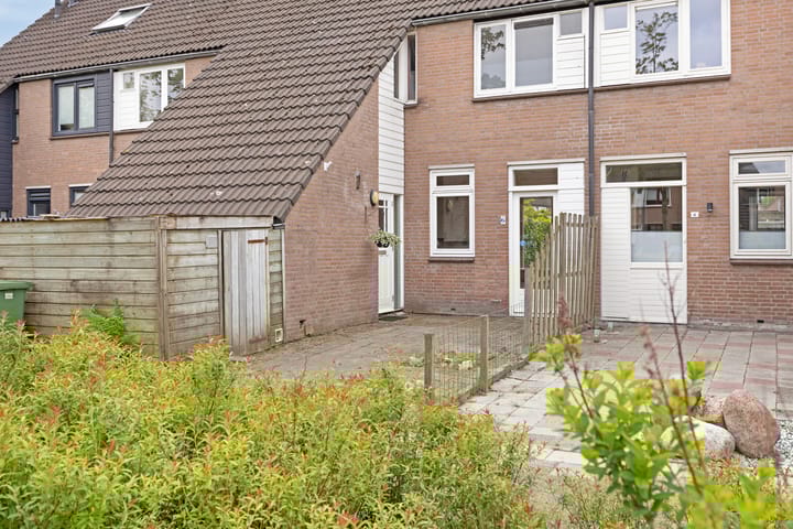 Foto 6 van Boekweitveld 6