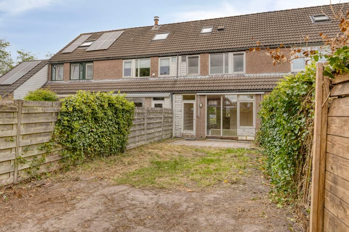 Foto 33 van Boekweitveld 6