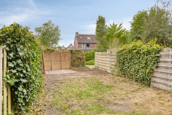 Foto 35 van Boekweitveld 6