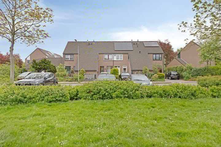 Foto 38 van Boekweitveld 6