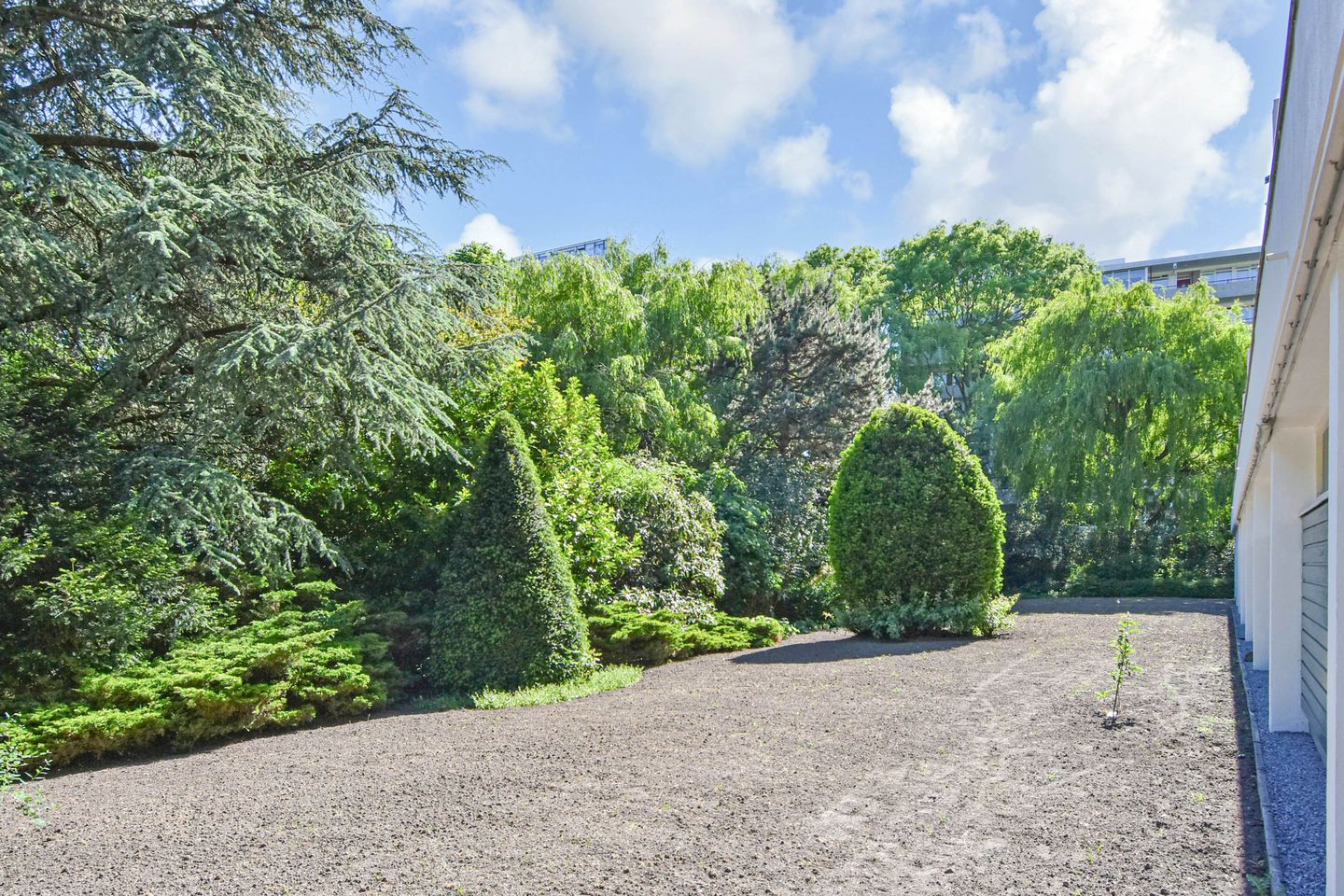 Foto 55 van Terracottastraat 29