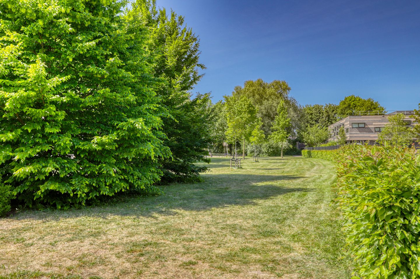 Foto 35 van Huibersakker 19